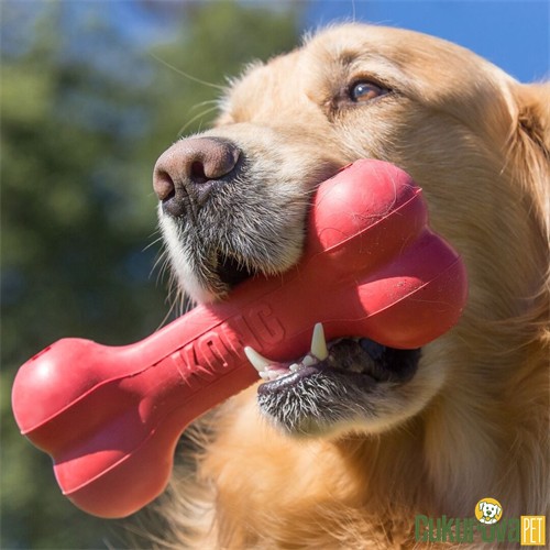 Kong Goodie Bone Sert Kauçuk Köpek Oyuncağı S - 13 Cm