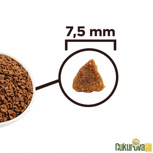 Acana First Feast Kitten Yavru Kedi̇ Maması 1.8 Kg