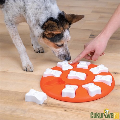 Nina Ottosson Dog Smart Eğitici Köpek Oyuncağı 27 Cm