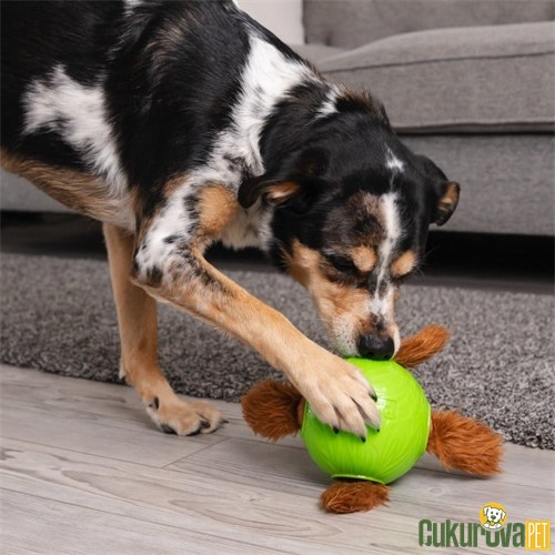 Nina Ottosson Snuffle N'Trt Ball Eğitici Ödül Hazneli Top Köpek Oyuncağı 13 Cm