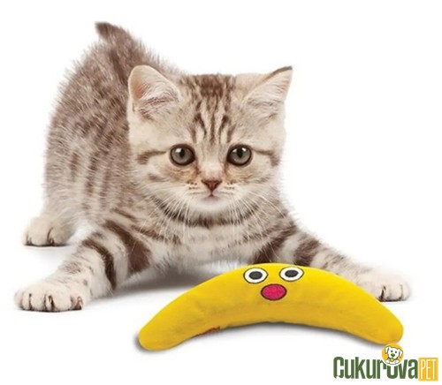 Catstages Magic Bumerang Catnipli Kedi Oyuncağı 8.5 x 3.5 x 1.75 / Yeşil