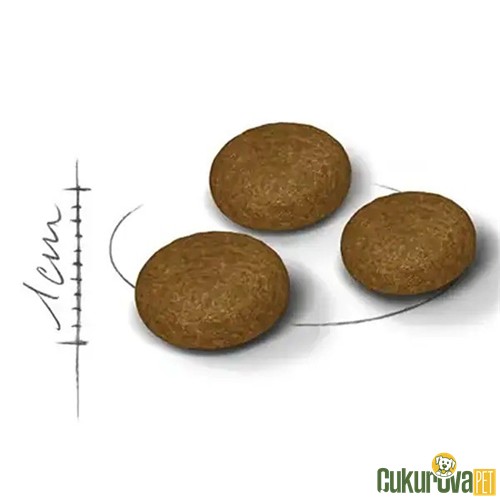 Royal Canin Savour Exigent Yetişkin Kedi Maması 4 Kg