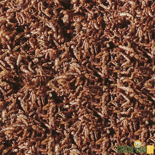 Sera Bloodworms FD Snack Nature Kurutulmuş Yem 250 Ml - 24 Gr
