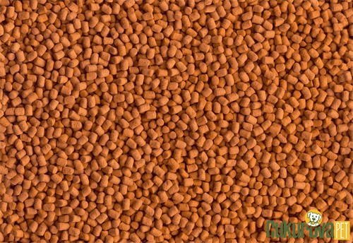 Tetra Arowana Granül Yem 1 L - 340 Gr