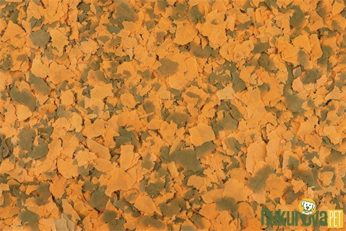 Tetra Cichlid XL Flakes Pul Yem 1000 Ml - 160 Gr