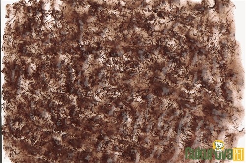 Tetra Fresh Delica Krill Tropikal Sıvı Balık Yemi 48 Gr