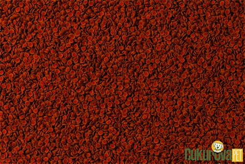 Tetra Cory Shrimp Wafers Tablet Yem 100 Ml - 40 Gr