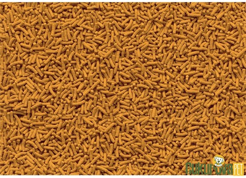 Tetra Pond Koi Sticks Havuz Yemi 10 L - 1500 Gr