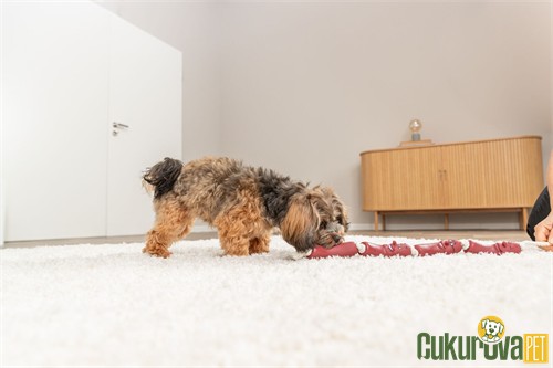 Trixie Sosis Şeklinde İp Köpek Oyuncağı 75 Cm