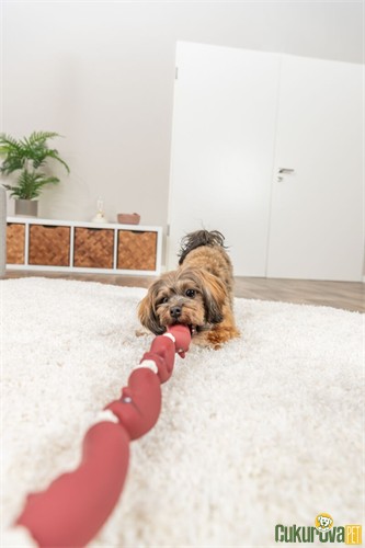 Trixie Sosis Şeklinde İp Köpek Oyuncağı 75 Cm