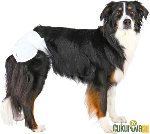 Trixie Çiş Köpek Pedi L - 12 Adet / 38 - 56 Cm