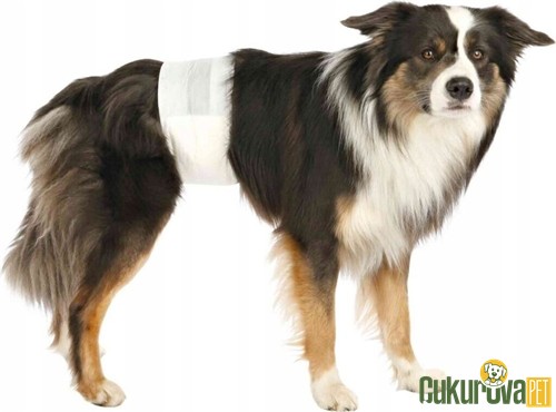 Trixie Erkek Köpek Pedi S - M 12 Adet / 30 - 46 Cm