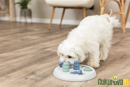 Trixie Zeka ve Eğitim Köpek Oyuncağı Karışık Renkli - 23 x 3 Cm