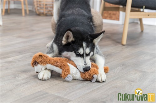 Trixie Sesli Peluş Mirket Köpek Oyuncağı 40 Cm