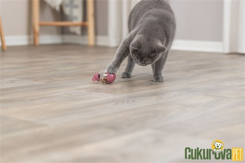 Trixie Ödül Hazneli Fare Kedi Oyuncağı 9 Cm