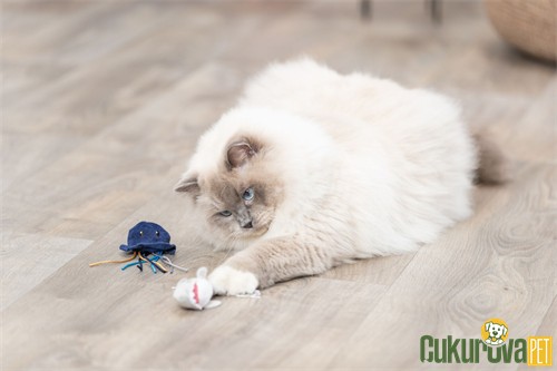 Trixie Catnipli Deniz Canlıları Peluş Kedi Oyuncağı Karışık Çeşitli 5 - 8 Cm - 1 Adet