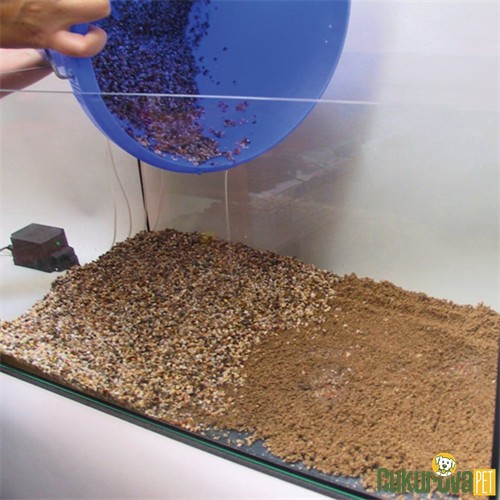 Jbl Pro Flora AquaBasis Plus Akvaryum Kumu Kahverengi / 2.5 L