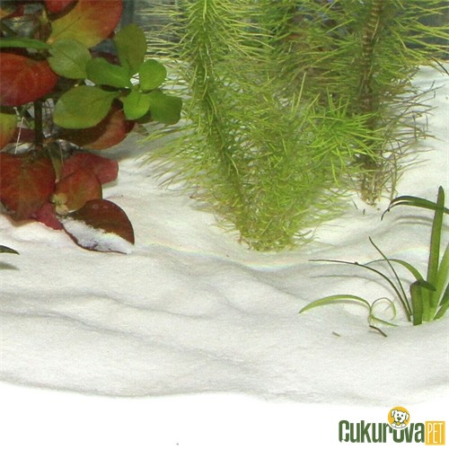 Jbl Sansibar Snow Akvaryum Kum Kar Beyazı 0.2 - 0.6 Mm / 5 Kg