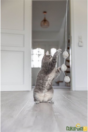 Trixie Catnipli 3 Toplu Peluş Kedi Oltası 35 Cm