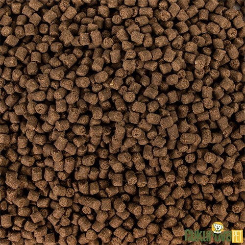 Tropical Sterlet Basic Size M Granül Yem 3 L - 1.5 Kg