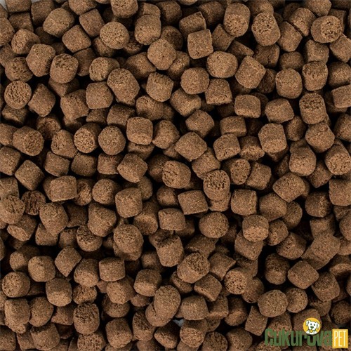 Tropical Sterlet Basic Size L Granül Yem 1000 Ml - 500 Gr