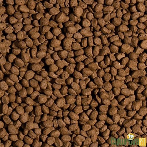 Tropical Wheat Germ & Garlic Pellet Size M Havuz Yemi 1000 Ml - 320 Gr