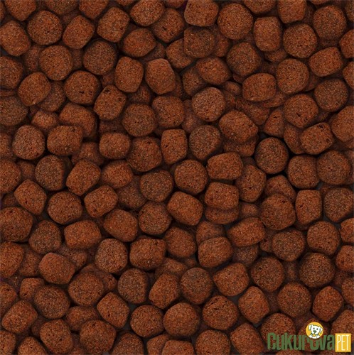 Tropical Koi Silkworm & Astaxanthin Pellet Size L Havuz Yemi 7 Kg