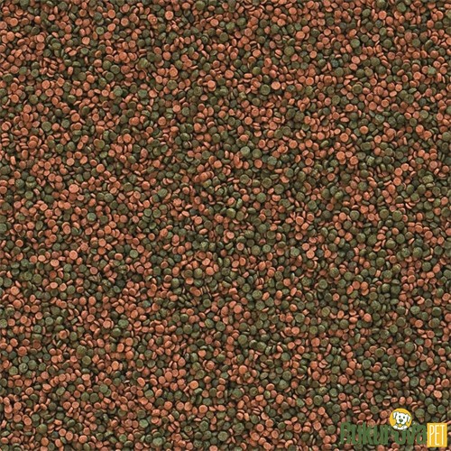 Tropical Cichlid Gran Granül Yem 250 Ml - 138 Gr