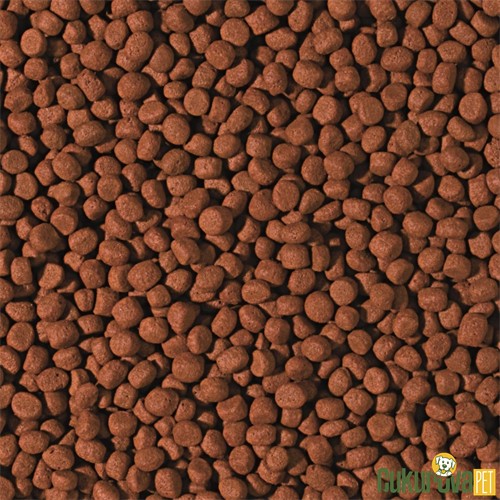 Tropical Cichlid Carnivore Medium Pellet Granül Yem 250 Gr