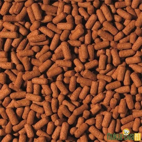 Tropical Cichlid&Arowana Large Sticks Stick Yem 250 Gr