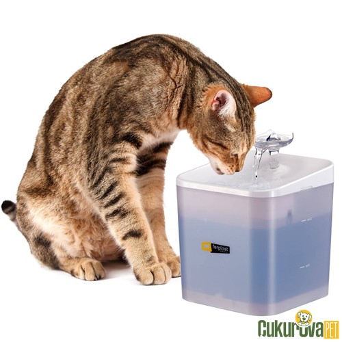 Ferplast Kedi̇ & Köpek Ares Otomatik Su Şelalesi̇ 2 L