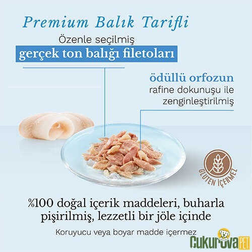 Schesir Complements In Jelly Ton Balığı ve Orfoz Balıklı Yetişkin Kedi Yaş Maması 70 Gr