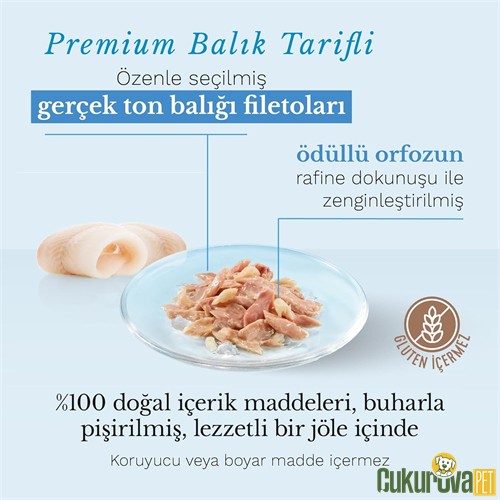 Schesir In Jelly Ton Balıklı ve Orfoz Balıklı Yetişkin Kedi Yaş Maması 85 Gr