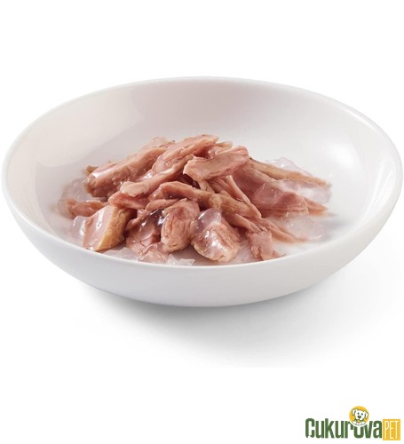 Schesir In Jelly Ton Balıklı Yetişkin Köpek Yaş Maması 150 Gr