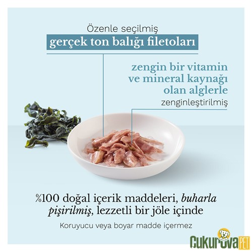 Schesir In Jelly Ton Balıklı ve Yosunlu Yetişkin Kedi Yaş Maması 85 Gr