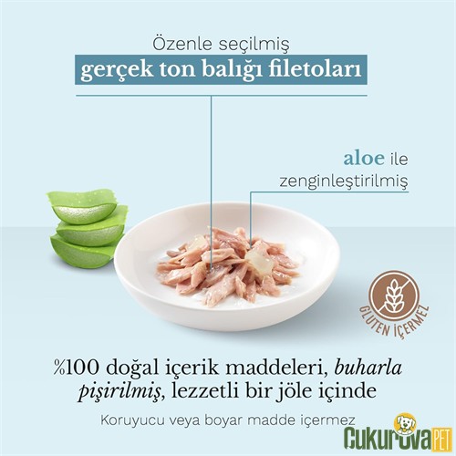 Schesir In Jelly Ton Balıklı ve Aloe Veralı Yetişkin Kedi Yaş Maması 85 Gr