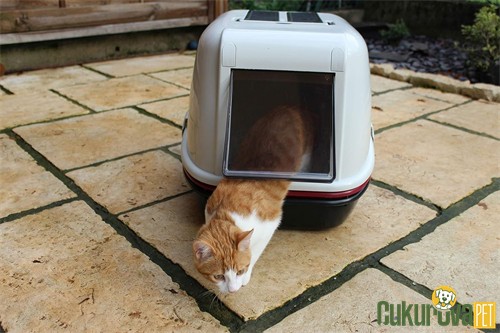 Ferplast Home Magix Kapalı Kedi Tuvaleti Kırmızı - Beyaz 55 x 45 x 41 Cm