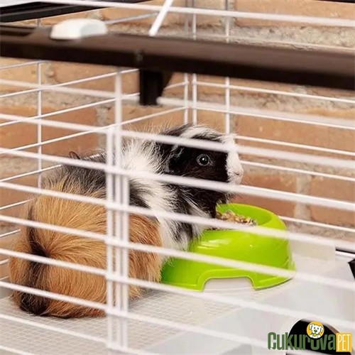Ferplast Casita 80 Tavşan Ve Guinea Pig Kafesi 78 x 48 x 50 Cm