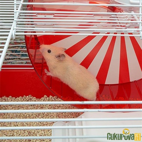 Ferplast Coney Island Hamster Kafesi Beyaz - 50 x 35 x 25 Cm