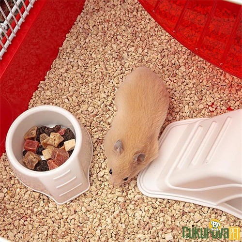 Ferplast Coney Island Hamster Kafesi Beyaz - 50 x 35 x 25 Cm