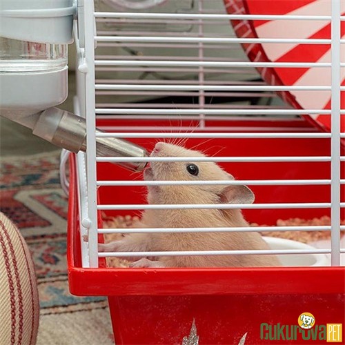 Ferplast Coney Island Hamster Kafesi Beyaz - 50 x 35 x 25 Cm