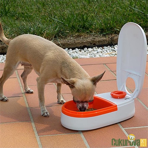 Ferplast Cometa Bowl Zaman Ayarlı Kedi & Köpek Mama Kabı 400 Ml