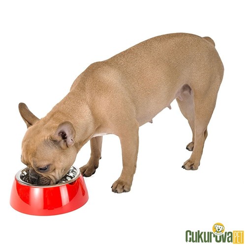 Ferplast Kedi̇ & Köpek Mama Ve Su Kabı Jolie Çeli̇k S - Si̇yah