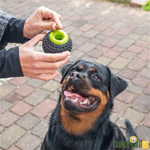 Ferplast Chewa Boing Ödül Hazneli Top Köpek Oyuncağı 8 Cm