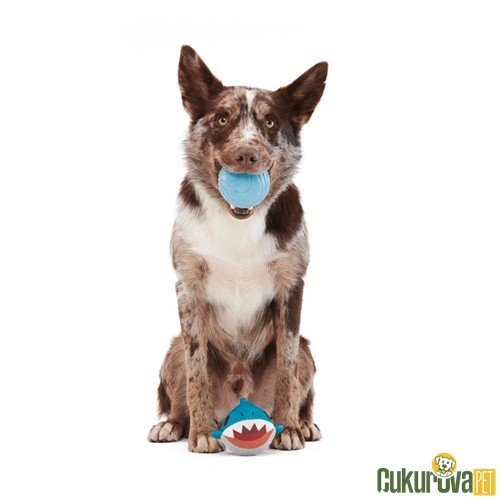 Bark Dwight Köpek Balığı Çiğneme Köpek Oyuncağı L / 12.5 x 11 x 11 Cm
