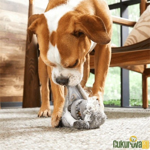 Bark Hare Tavşan Çiğneme Köpek Oyuncağı M - L / 10 x 7.6 Cm