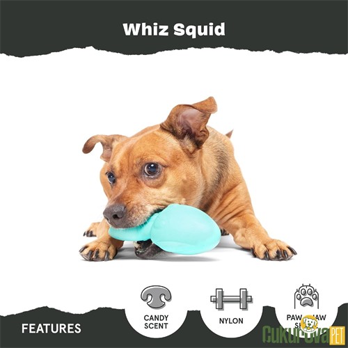 Bark Whiz Mürekkep Balığı Köpek Oyuncağı L / 8 x 17.5 Cm
