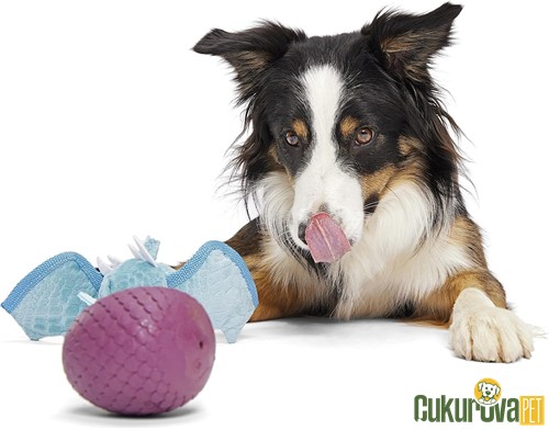 Bark Brtha Sesli Ejderha Köpek Oyuncağı S / 19 x 15 x 8.8 Cm