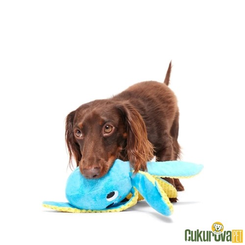 Bark Odd Otto Sesli Ahtapot Köpek Oyuncağı