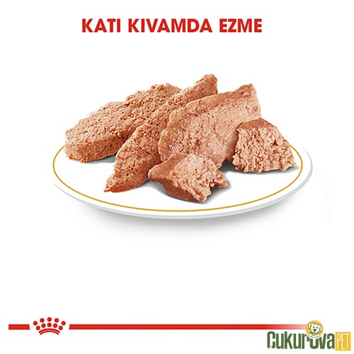 Royal Canin Adult Poodle Caniche Yetişkin Köpek Yaş Maması 85 Gr